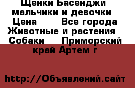 Щенки Басенджи ,мальчики и девочки › Цена ­ 1 - Все города Животные и растения » Собаки   . Приморский край,Артем г.